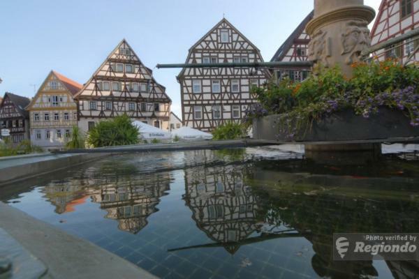 Schlosshotel Hoefingen Leonberg Dış mekan fotoğraf