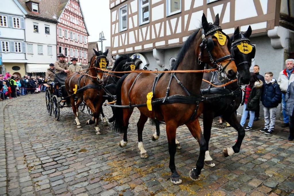 Schlosshotel Hoefingen Leonberg Dış mekan fotoğraf